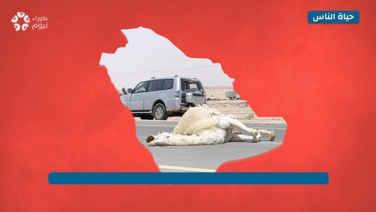 من ينقذ حياة المارة على طريق الروضة بعد تقاعس الحكومة عن الاستجابة لنداءاتهم؟