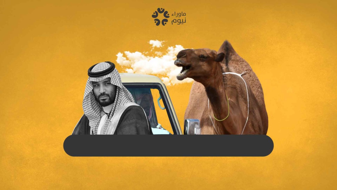 Saudi regime brags about defending animal rights while violating human rights