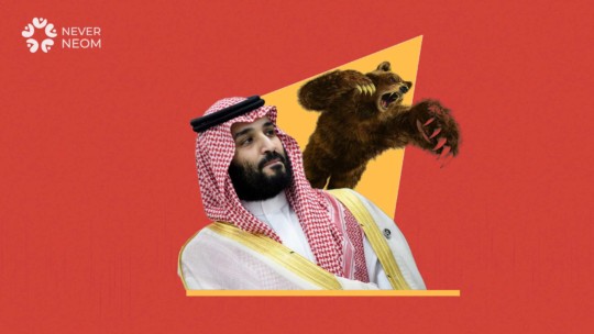 The Crown Prince of Saudi Arabia is a Bear wasting the Kingdom’s Capabilities