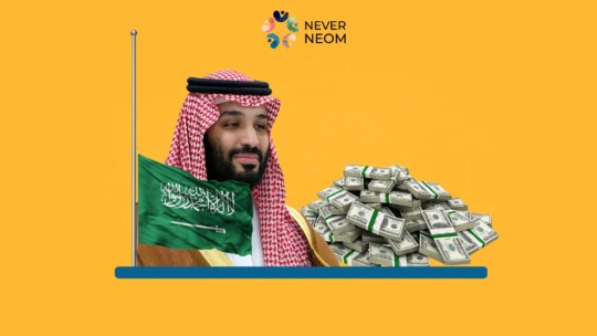 Saudi Crown Prince's Economic Growth Plans Questioned